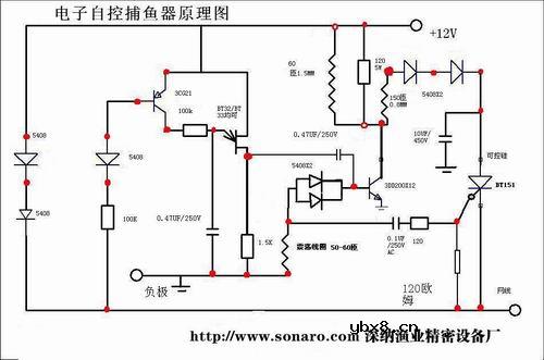 电鱼机制作线路图