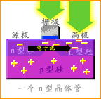 晶体管工作原理--Html版本