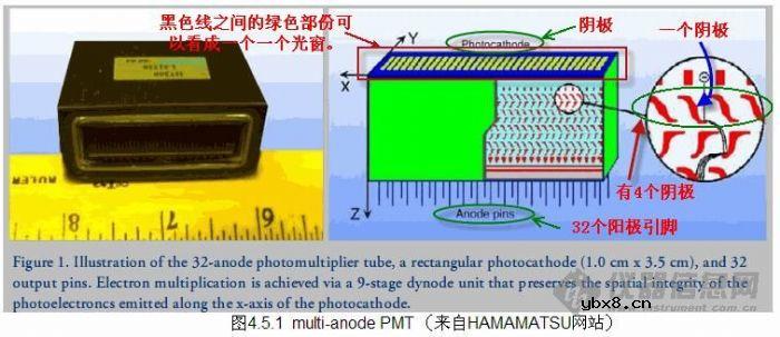 multi-anode PMT multi-anode PMT