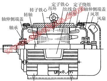 三相鼠笼异步电动机结构图