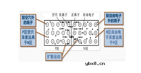 pn节的形成 pn节的形成