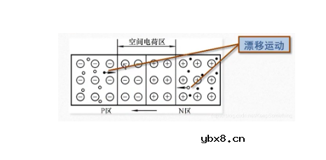 pn节的形成 pn节的形成