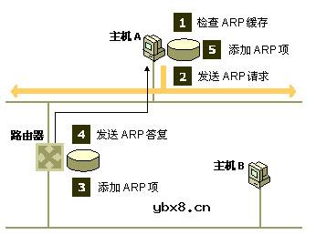 地址解析协议(ARP),地址解析协议(ARP)是什么意思