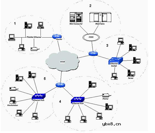 虚拟局域网（VLAN）/VLAN的组成结构是什么?