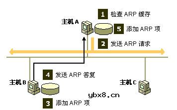 地址解析协议(ARP),地址解析协议(ARP)是什么意思