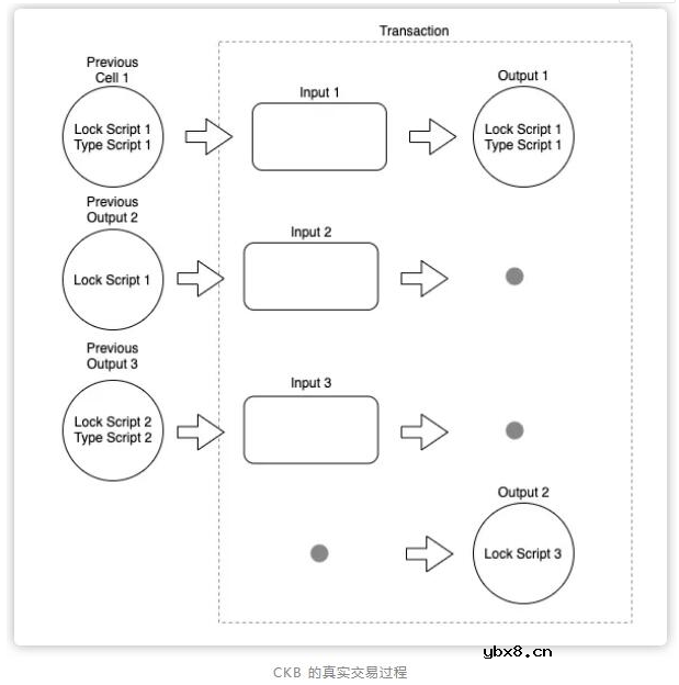 CKB中的Cell验证模型介绍