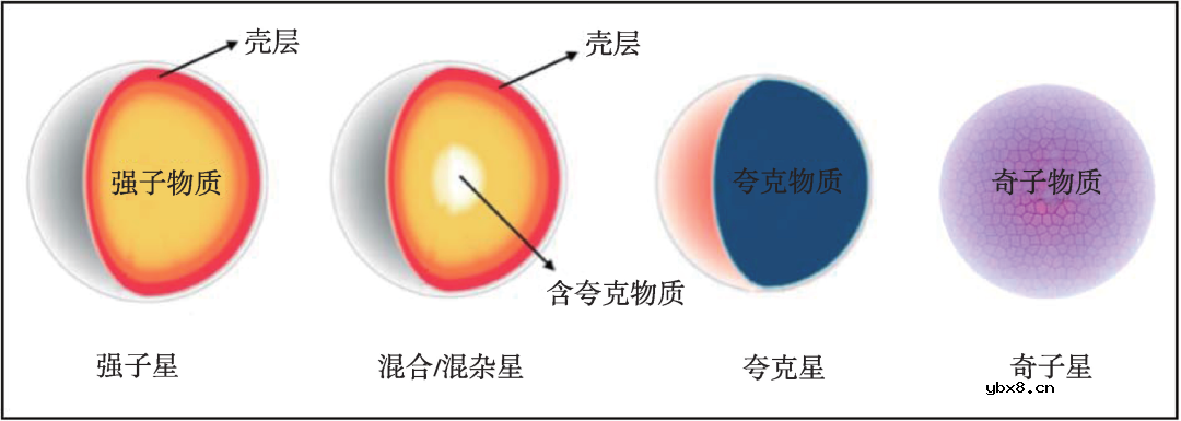 中子星内部结构图