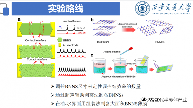 基于大面积自组装hBN薄膜的超低暗电流真空紫外光探测器