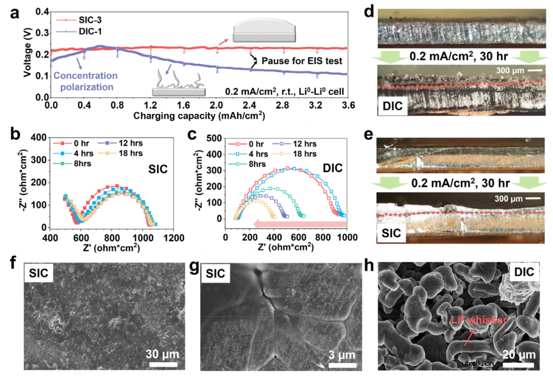 高锂金属负极形貌稳定性的聚电解质
