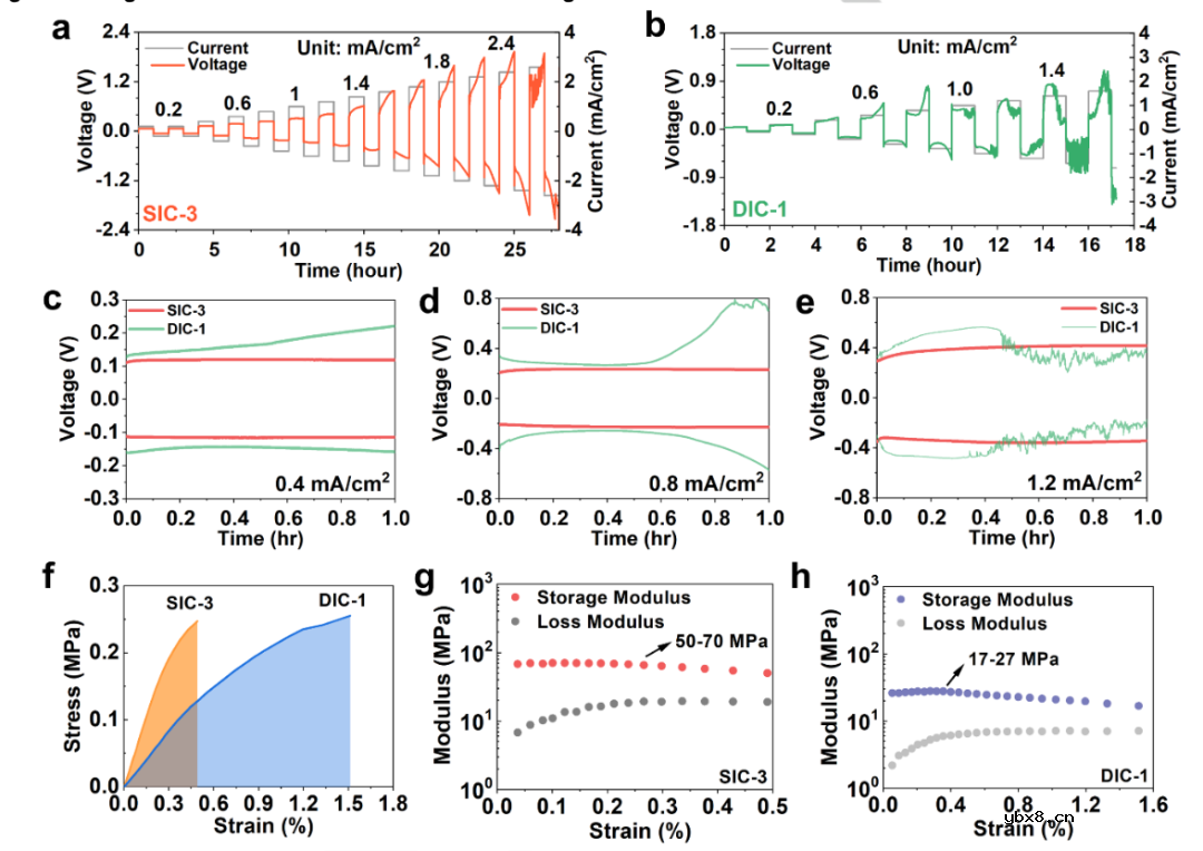 高锂金属负极形貌稳定性的聚电解质