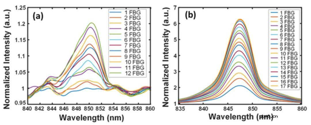 蓝宝石光纤与石英光纤中横向位置对于FBG反射率的影响