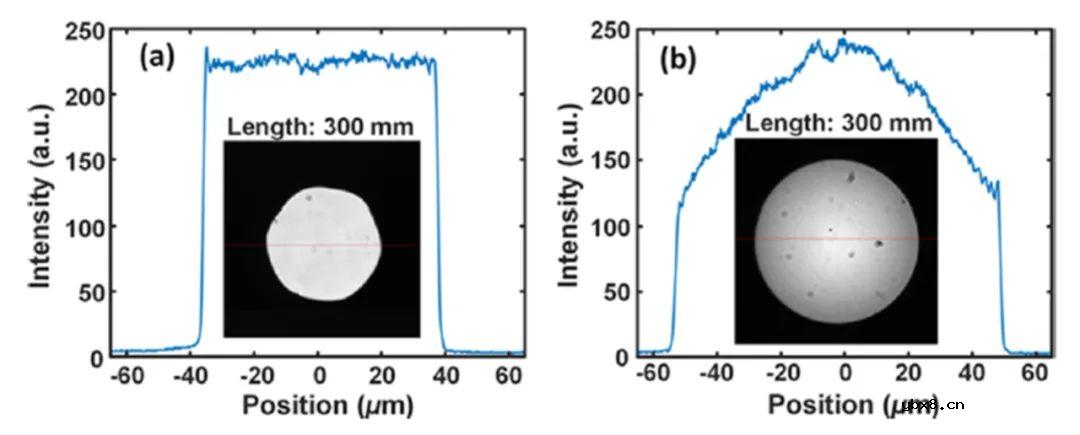 蓝宝石光纤与石英光纤中横向位置对于FBG反射率的影响