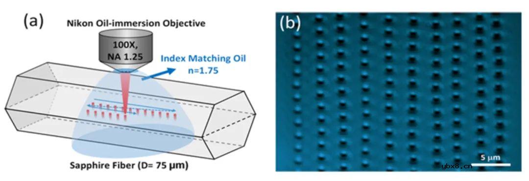 蓝宝石光纤与石英光纤中横向位置对于FBG反射率的影响