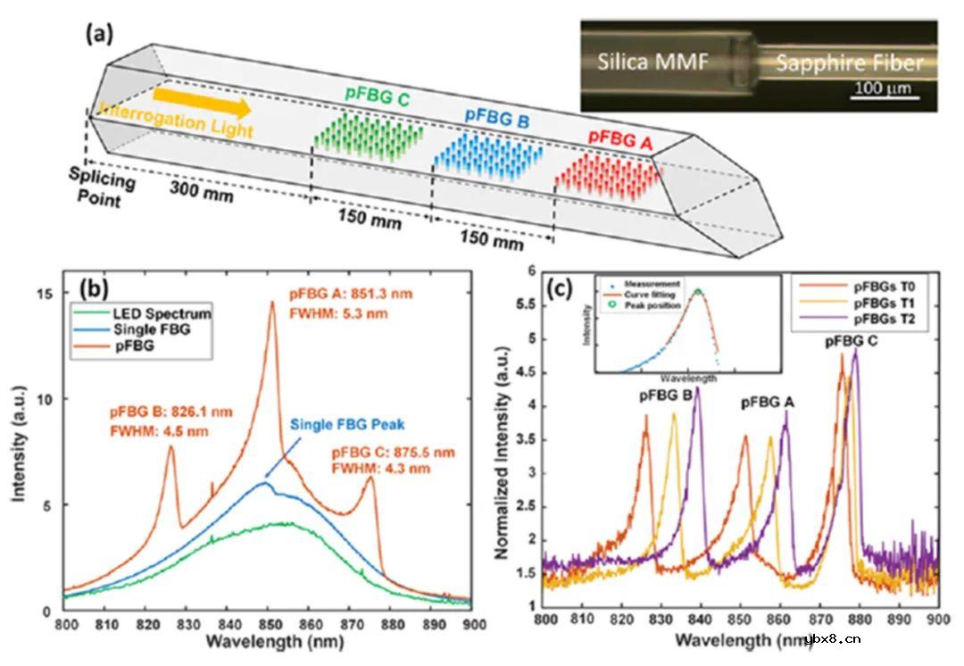 蓝宝石光纤与石英光纤中横向位置对于FBG反射率的影响