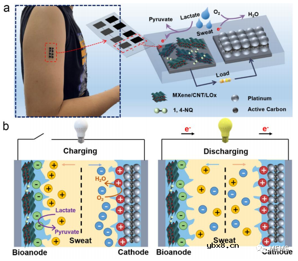 用于可穿戴自充电生物超级电容器的MXene双功能生物阳极设计