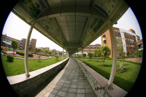 鱼眼镜头的简介及用途