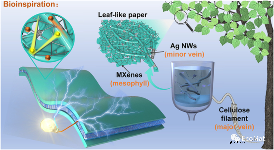 叶片状自支撑复合电极的规模化制备