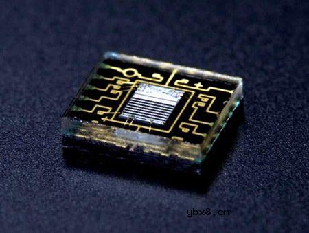 佳能EOS 7D样片赏析与实测(上）