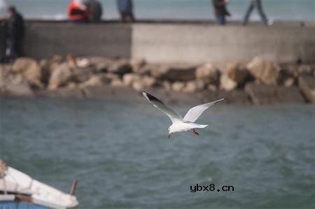 佳能EOS 7D样片赏析与实测(下）