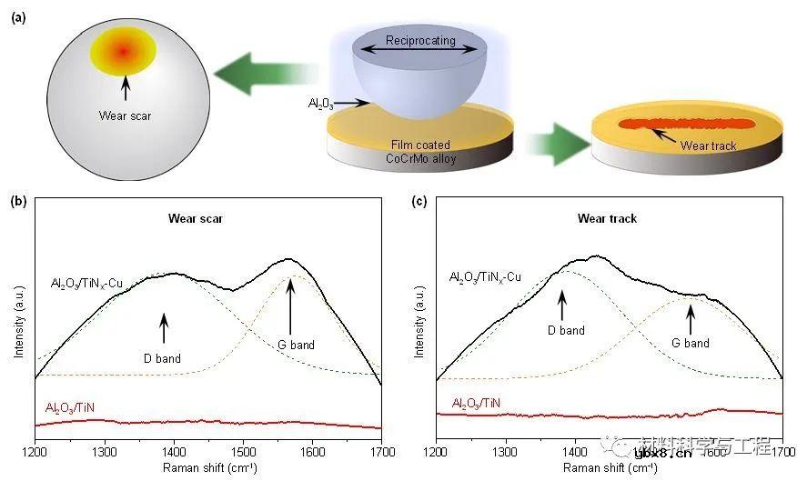 体内磨损自润滑有望进一步延长薄膜在体内的服役寿命