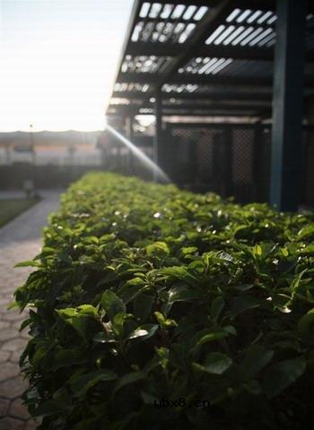 佳能EOS 7D样片赏析与实测(下）