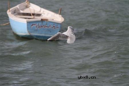 佳能EOS 7D样片赏析与实测(下）