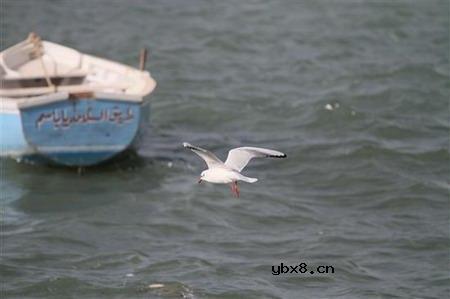 佳能EOS 7D样片赏析与实测(下）