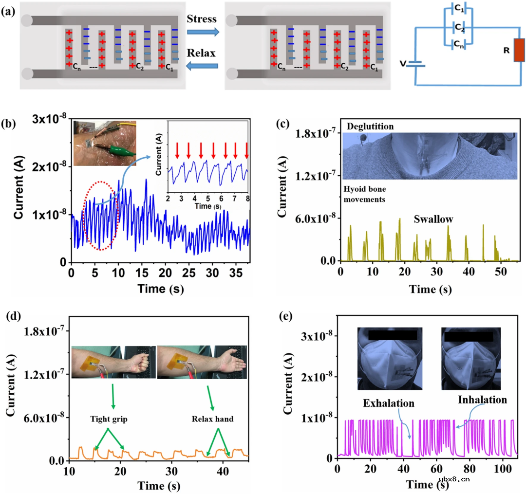 面向人体运动感知的微应变传感-微电容集成MEMS