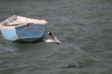 佳能EOS 7D样片赏析与实测(下）