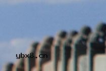 移轴镜头实拍技巧4 对纵深的被摄体更有效地合焦