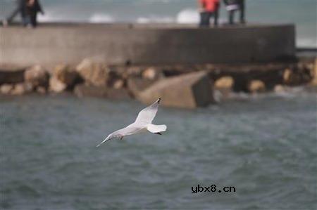 佳能EOS 7D样片赏析与实测(下）