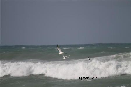 佳能EOS 7D样片赏析与实测(下）