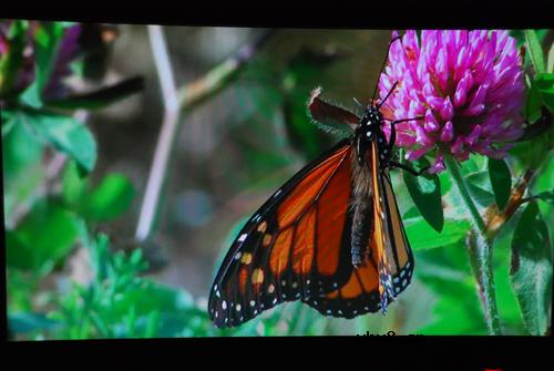 天敏DMP550高清播放器评测