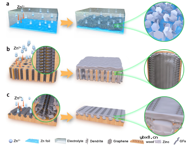 三维分层石墨烯基质助力水系锌电池实现稳定的锌负极