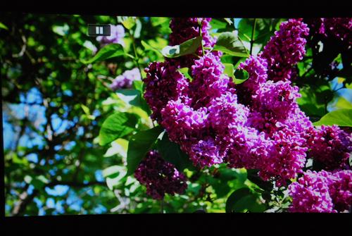 天敏DMP550高清播放器评测