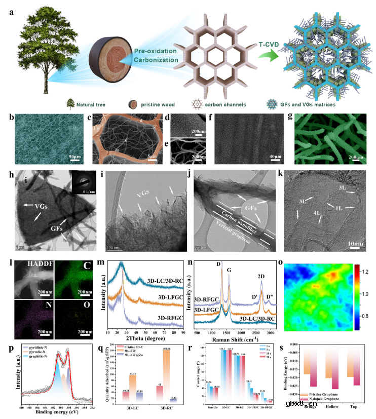 三维分层石墨烯基质助力水系锌电池实现稳定的锌负极
