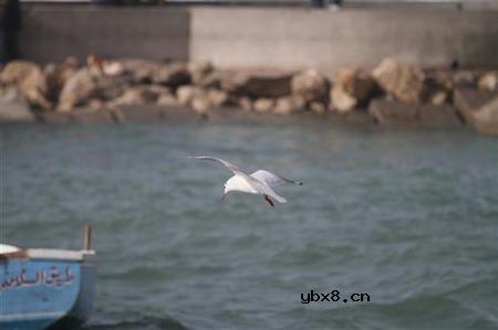 佳能EOS 7D样片赏析与实测(下）