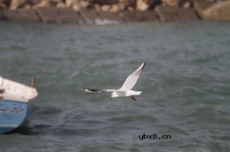 佳能EOS 7D样片赏析与实测(下）