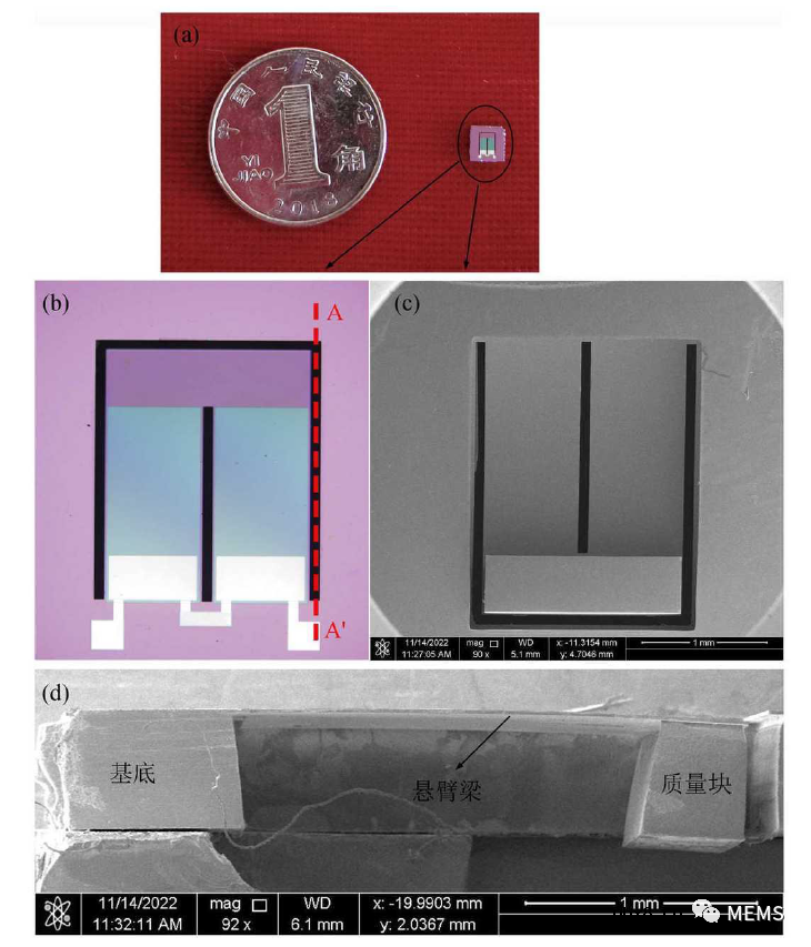 具有高灵敏度和良好指向性的新型MEMS压电矢量水听器
