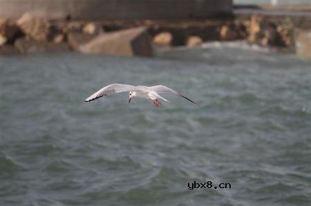 佳能EOS 7D样片赏析与实测(下）