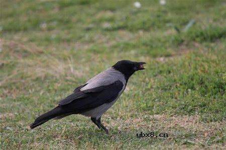 佳能EOS 7D样片赏析与实测(上）