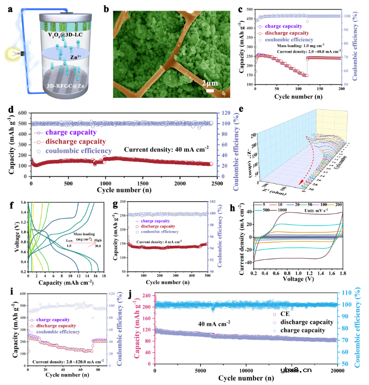 三维分层石墨烯基质助力水系锌电池实现稳定的锌负极