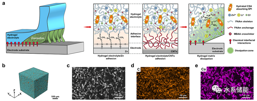 耦合强粘接和抗冻特性的凝胶电解质用于耐低温水系混合电容器