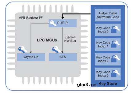 物联网案例：如何在启用加密技术的半导体中保护密钥