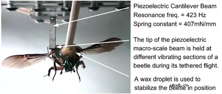 基于MEMS技术振动能量采集器应用实现