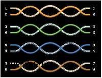 网络基本知识教程