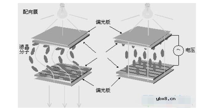 显示器接口的种类有哪些？它们的特性是什么