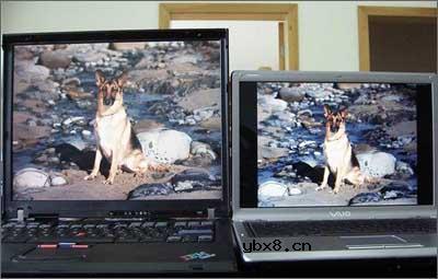 IBM和索尼屏幕显示大比拼