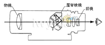 望远镜棱镜内部结构及原理图