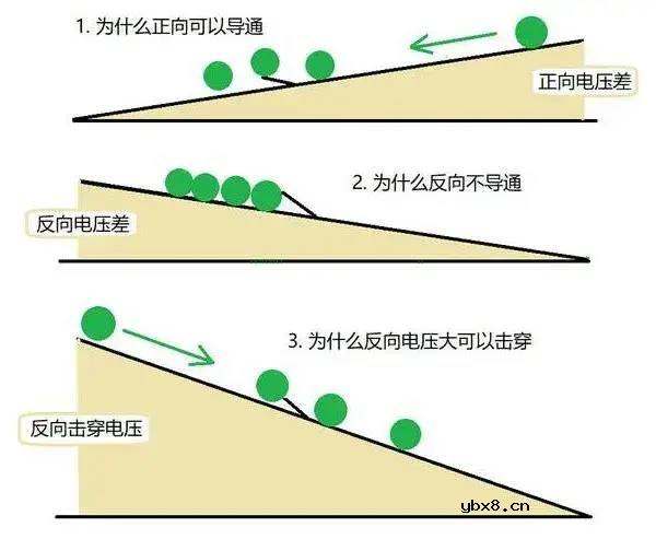 二极管为什么单向导电，反向截止的特性